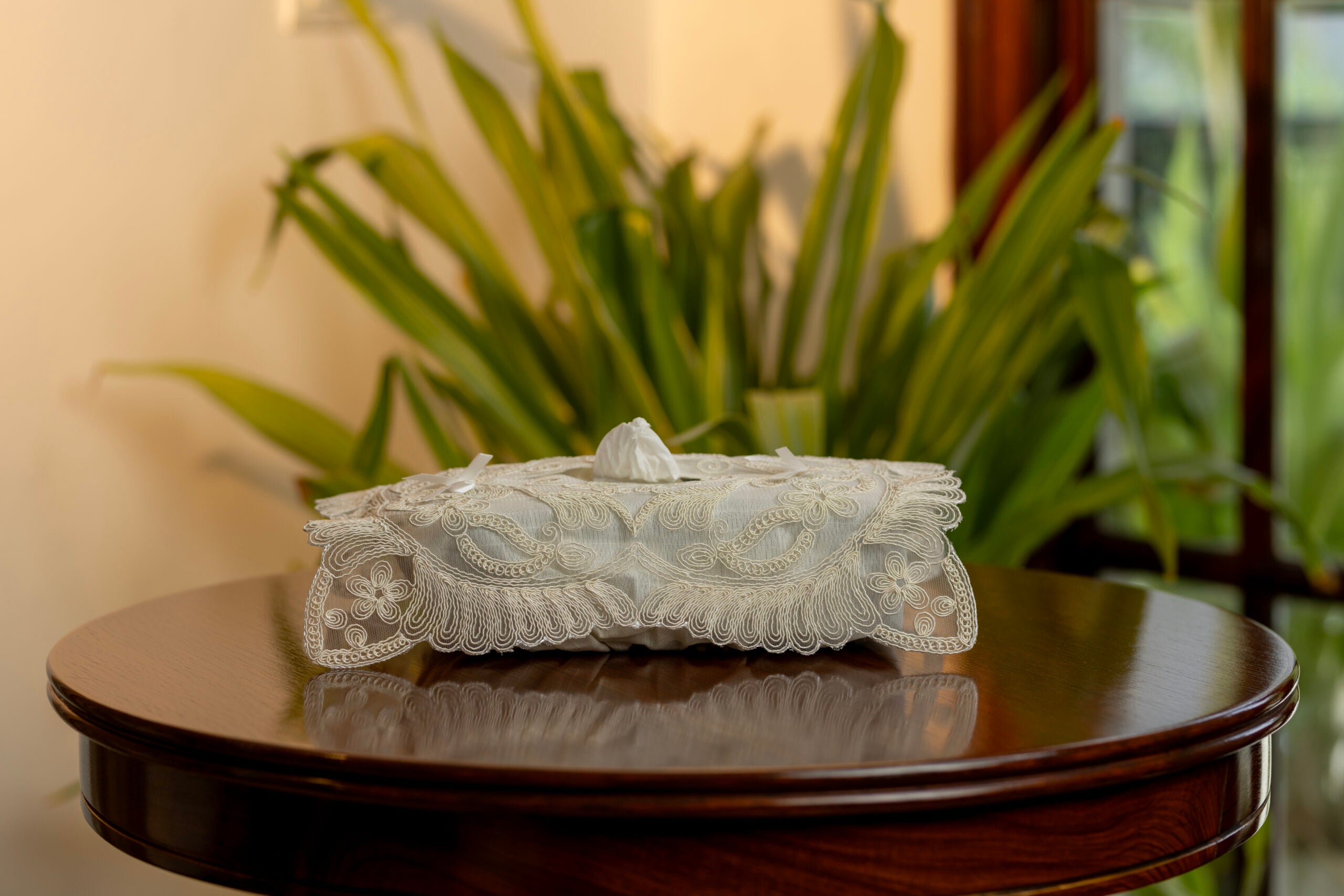 D1 Cream Tissue Box Cover