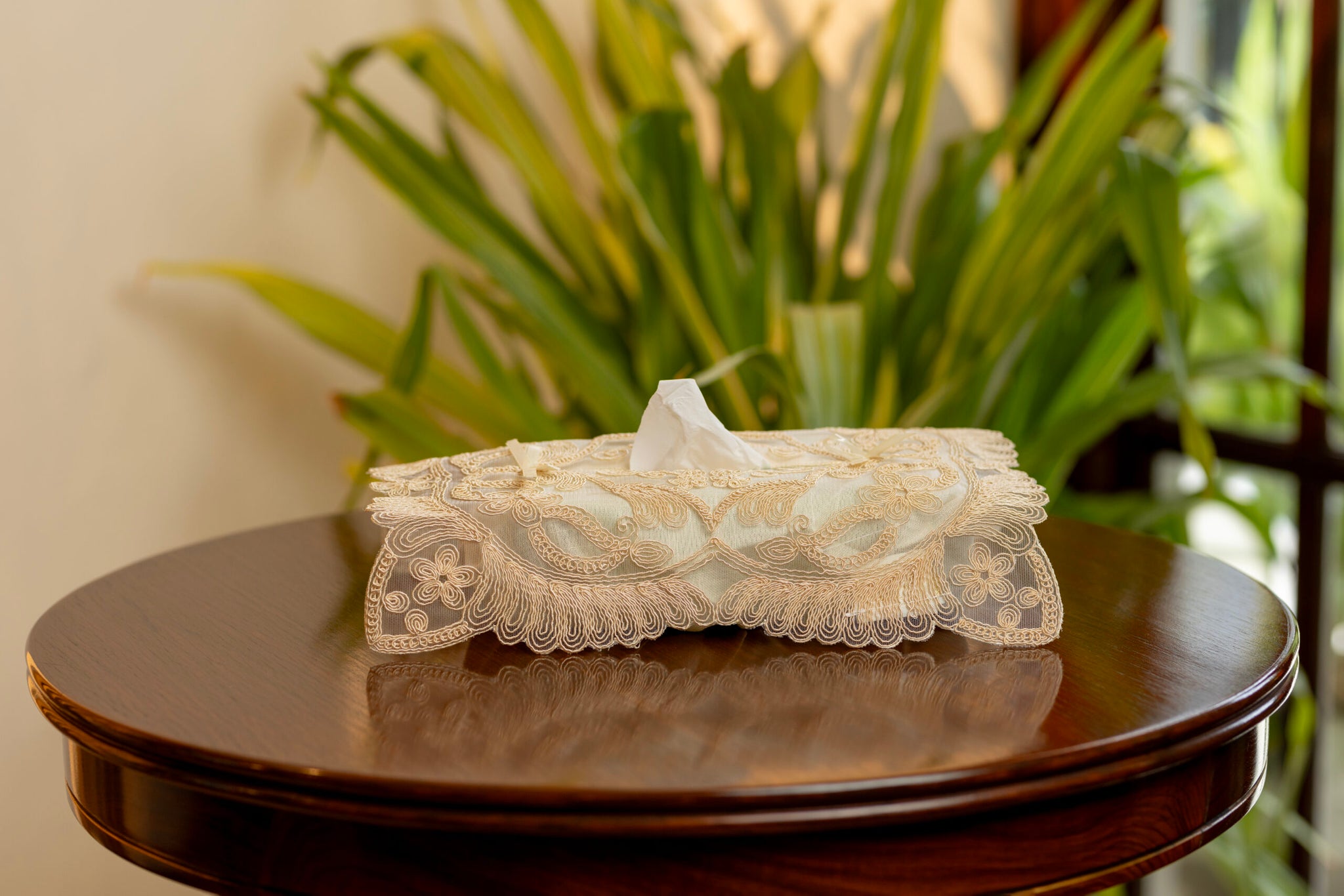 D1 Beige Tissue Box Cover