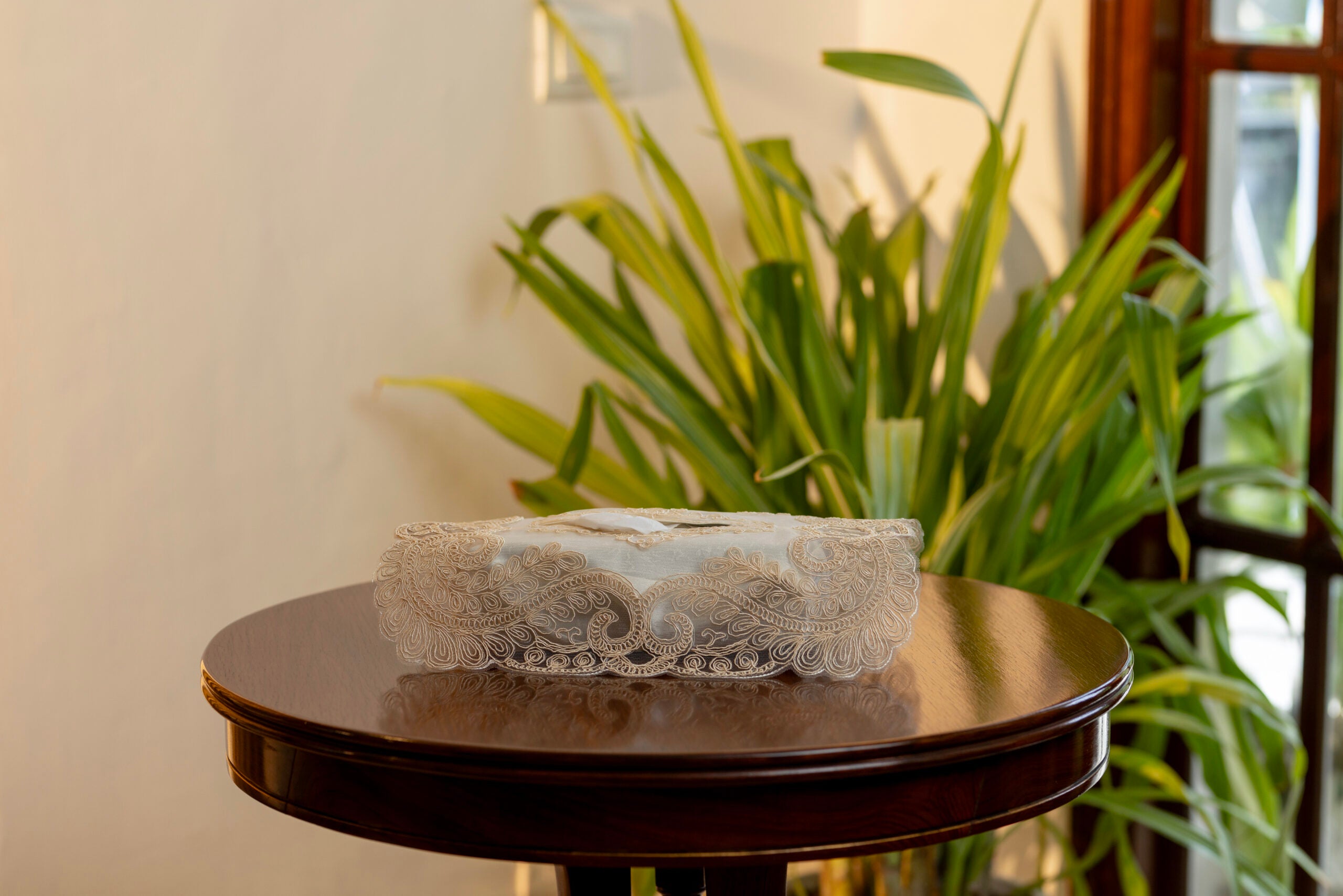 D2 Beige Tissue Box Cover